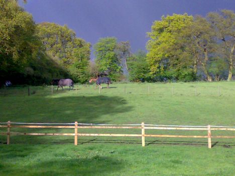 Equestrian Land For Sale